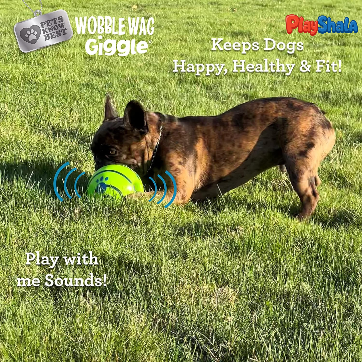 PlayShala Wobble Wag Giggle Ball