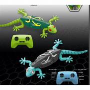 Playshala Wall Climbing RC Gecko