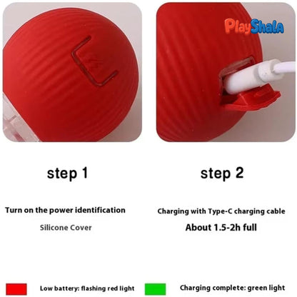 Playshala Chase Toy for Small Pets