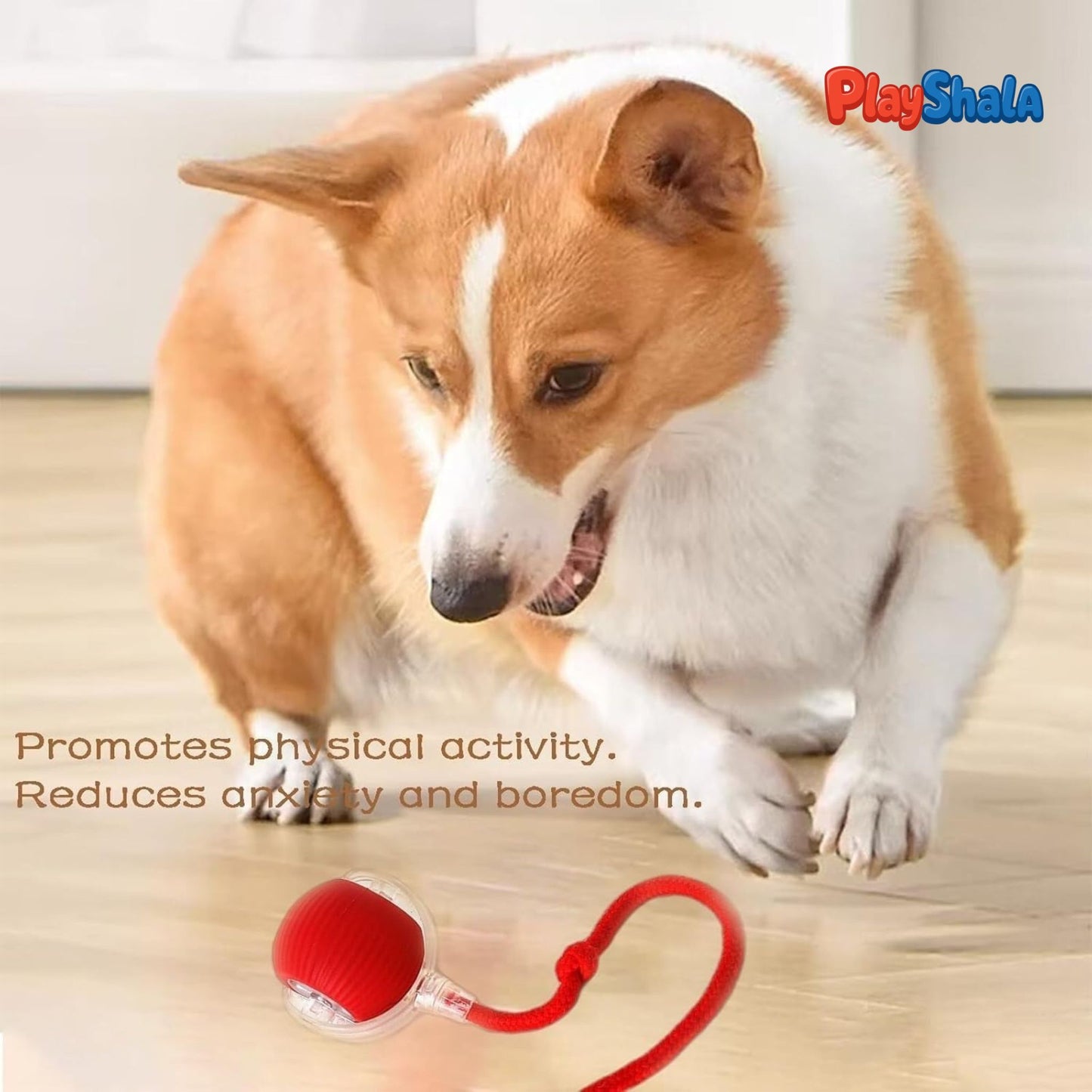 Playshala Chase Toy for Small Pets