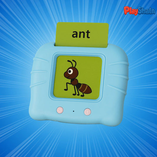 Playshala Talking Flash Cards (240 cards)
