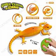Playshala Wall Climbing RC Gecko