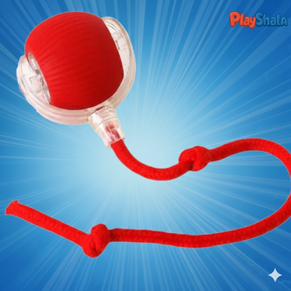 Playshala Chase Toy for Small Pets