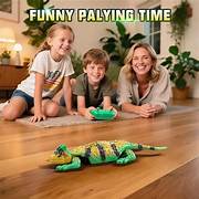 Playshala Wall Climbing RC Gecko